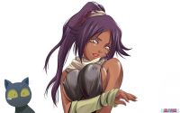 bleach_yoruichi_20130730_002.jpg